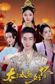 太子太子你好坏 封面