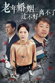 老年婚姻,过不好离不了 封面