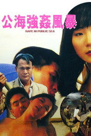 公海强奸风暴 封面