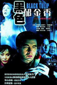 黑色郁金香 封面