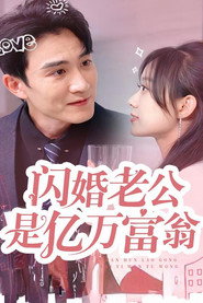 闪婚老公是亿万富翁 封面