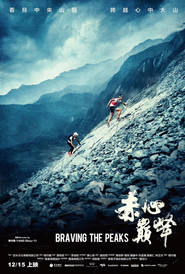 赤心巅峰 封面