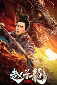 赵子龙 封面