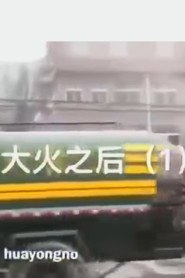 大火之后 封面