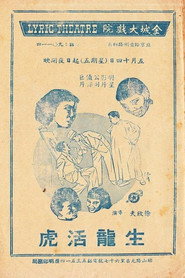 生龙活虎 封面