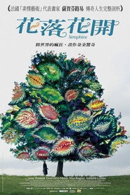 花落花开 封面