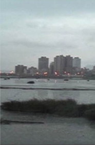河上的月光 封面
