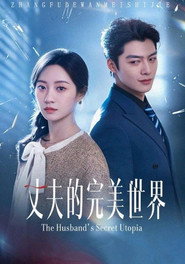 丈夫的完美世界 封面