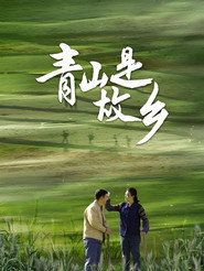 青山是故乡 封面