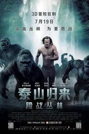 泰山归来:险战丛林 封面