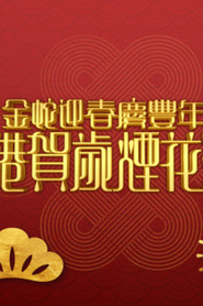 金蛇迎春慶豐年之香港賀歲煙花匯演 封面
