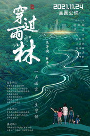 穿过雨林 封面