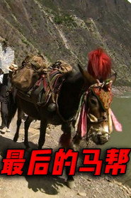 最后的马帮 封面