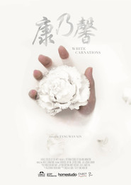 康乃馨 封面