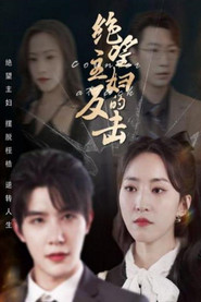 绝望主妇的反击 封面