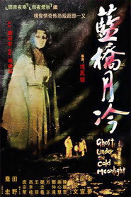 蓝桥月冷 封面