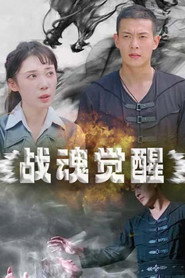 战魂觉醒 封面