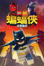 乐高DC蝙蝠侠:家族事务 封面