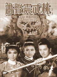 箫声震武林(上集) 封面