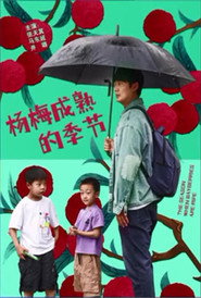 杨梅成熟的季节 封面