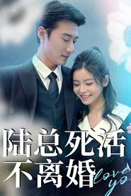 陆总死活不离婚 封面