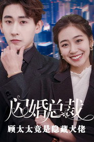闪婚总裁顾太太是隐藏大佬 封面