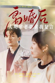 离婚后,大明星老婆求我复合 封面
