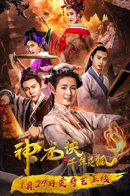 神龙诀之千年灵狐 封面