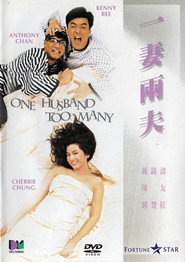 一妻两夫 封面