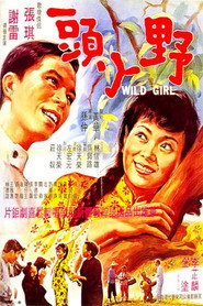 野丫頭 封面