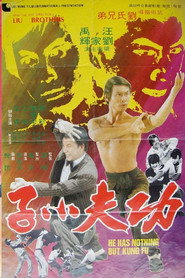 功夫小子 封面