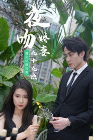 夜吻娇妻九十九次 封面