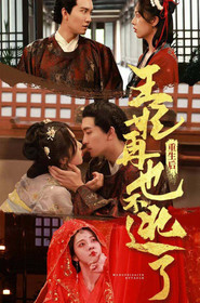 重生后王妃再也不逃了 封面