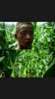 The Cornfield 封面