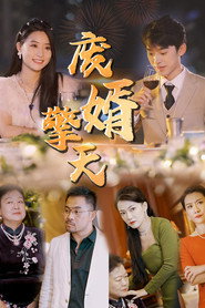 废婿擎天 封面