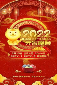 2022年中央广播电视总台元宵晚会 封面