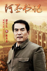 阿丕书记 封面