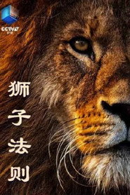 狮子法则 封面
