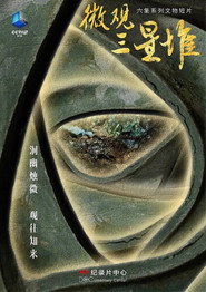 微观三星堆 封面