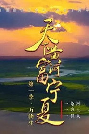 天下黄河富宁夏 封面