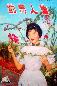 佳人有约 封面