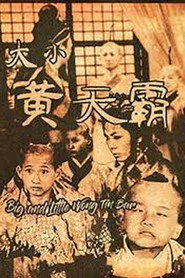大小黄天霸 封面
