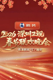 深圳卫视春节联欢晚会 封面