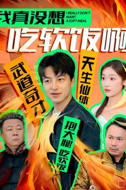 我真没想吃软饭啊 封面