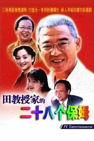 田教授家的二十八个保姆 封面