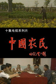 中国农民 封面