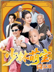 少林萌宝闯江湖 封面