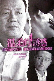 温柔的诱惑 封面