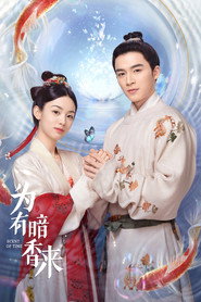 为有暗香来 封面