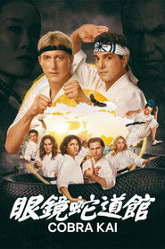 Cobra Kai 封面